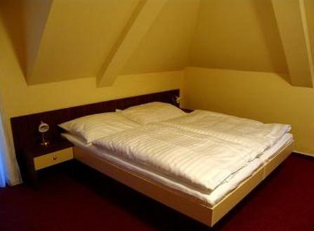Hotel Altenberg Stare Hory Bilik gambar
