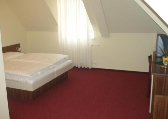 Hotel Altenberg Stare Hory Bilik gambar